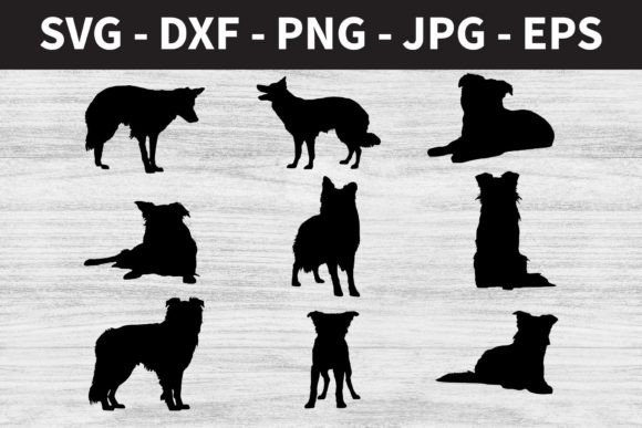 Border Collie Dog Silhouettes – A Designer’s Honest Take