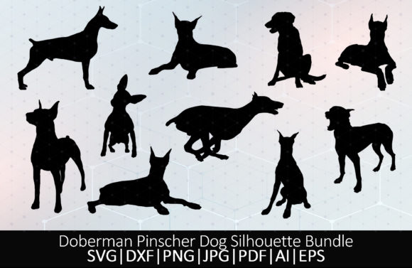 Doberman Pinscher Dog: A Designer’s Real-World Review